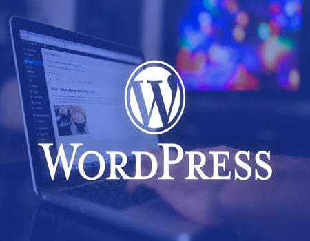 wordpress development in kalyan